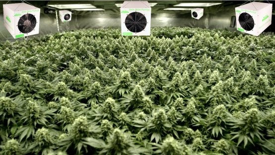 Pho-Tech Grow Room – Professional Odor Removal & Air Treatment System